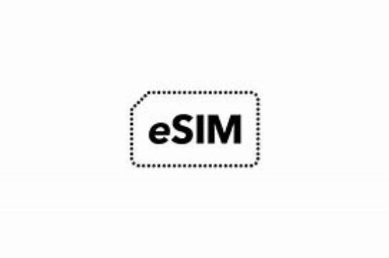 esim usa 1g (VOCOM TEST) の画像